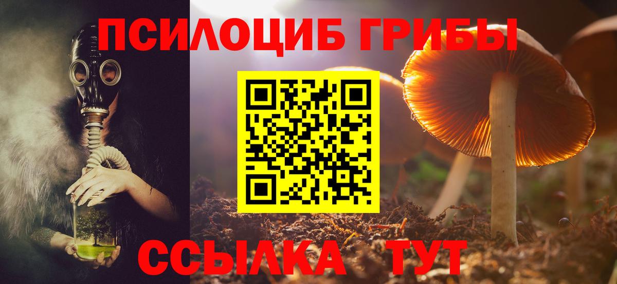 Галлюциногенные грибы GOLDEN TEACHER  Вход с VPN  Зеленогорск  Псилоцибиновые грибы мухоморы 